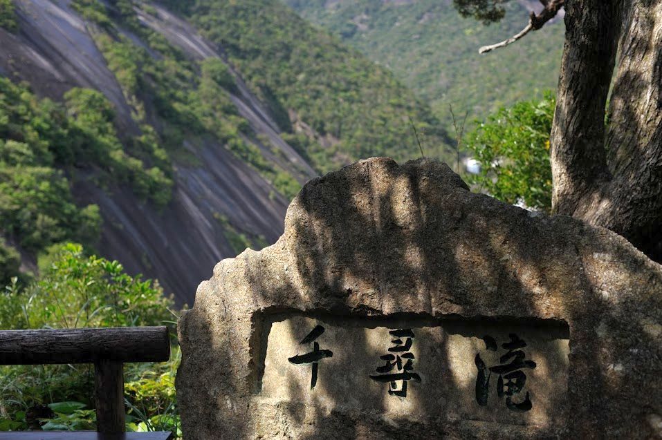 屋久島の雰囲気